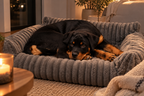 The CloudNest™ Pet Bed