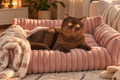 The CloudNest™ Pet Bed