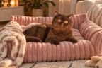 The CloudNest™ Pet Bed